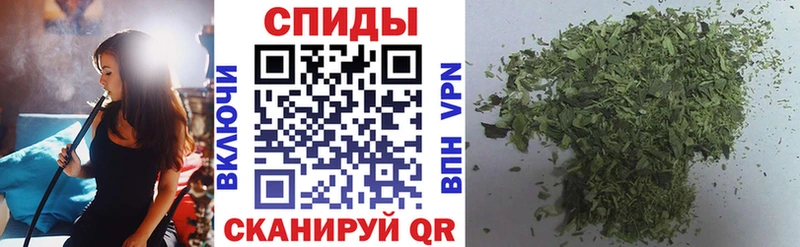 Бутират Butirat Купить где Куровское