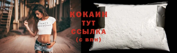 гидропоника Каменногорск