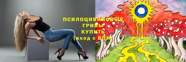 гидропоника Каменногорск