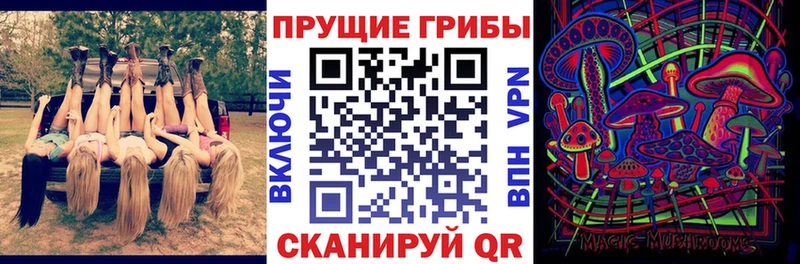 Псилоцибиновые грибы Psilocybine cubensis Куровское